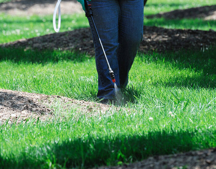 Weed Control